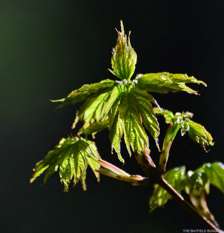 [DSC_0018%255B12%255D.jpg]