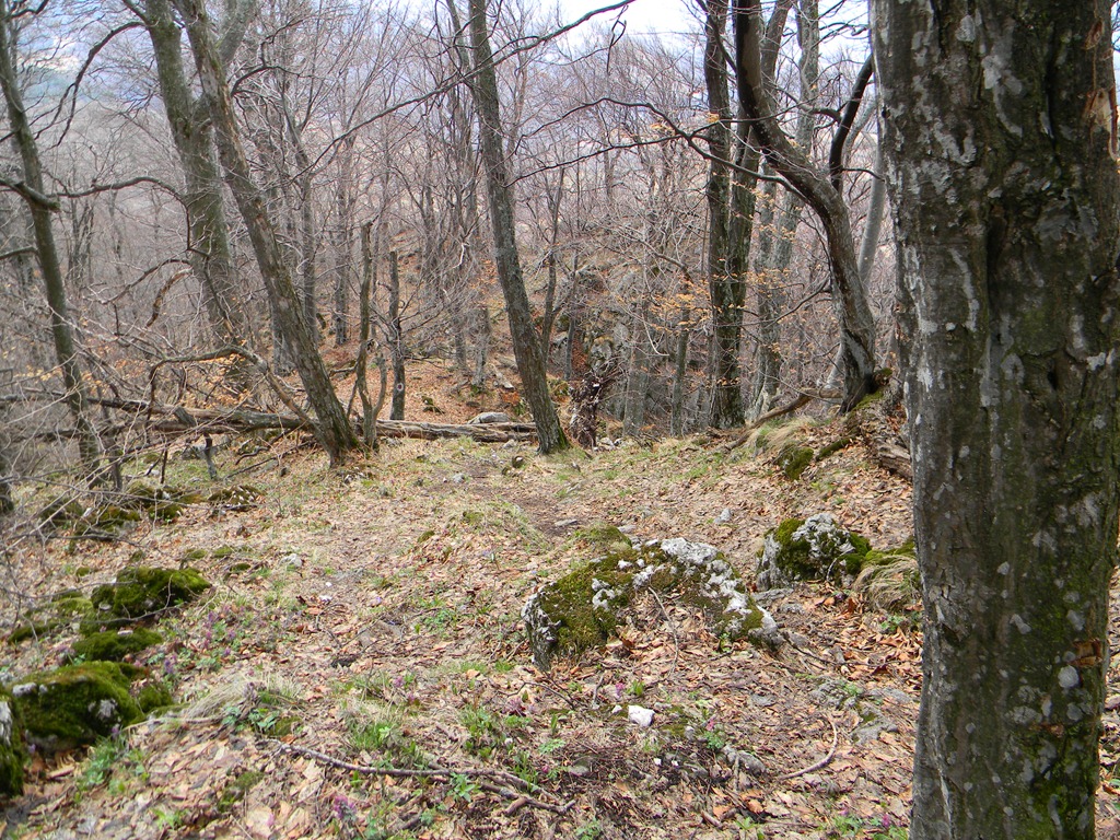 [DSCN80623.jpg]