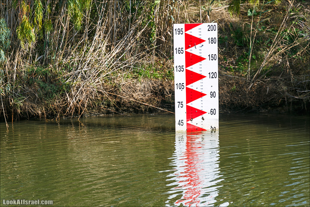LookAtIsrael.com - Восстановление реки Кишон | Recovering Kishon river | שיחזור נחל קישון