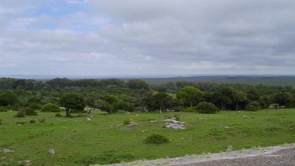 Vista da Fortaleza - Parque Santa Teresa
