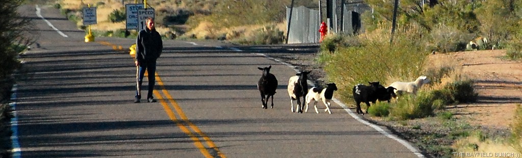 [DSC_8883%255B4%255D.jpg]