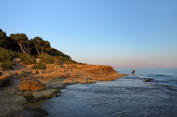 La punta de la Creueta, espai natural protegit, extrem nord de la platja Llarga, Tarragona, Tarragonès, Tarragona