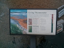 Living Thermometer