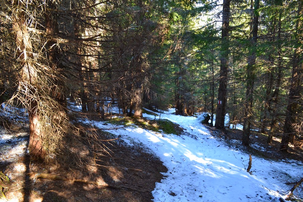 [DSC_52733.jpg]