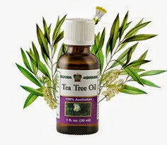 Козметично масло от чаено дърво / Tea Tree Oil