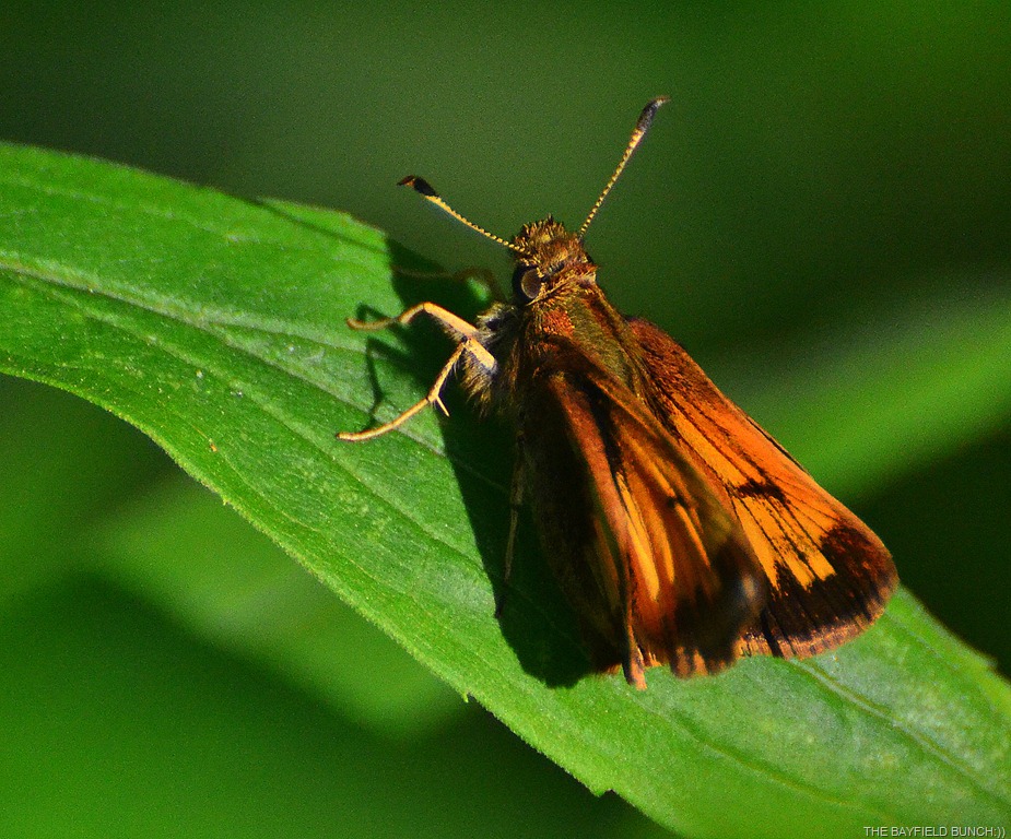 [DSC_0021%255B4%255D.jpg]