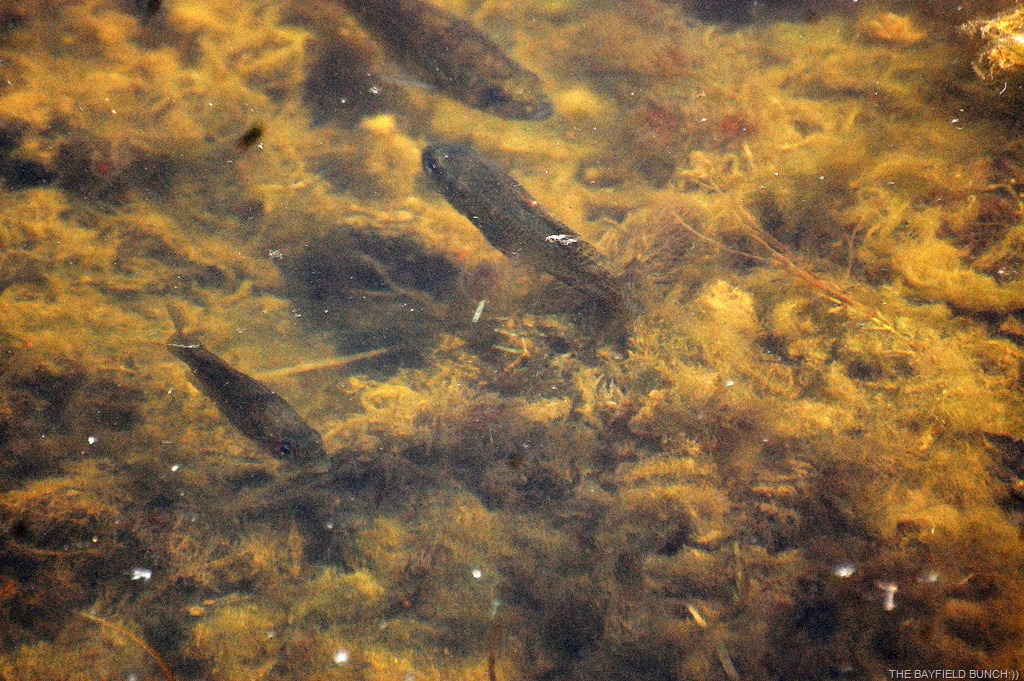 [DSC_6456%255B3%255D.jpg]