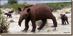 Merriam's Tapir