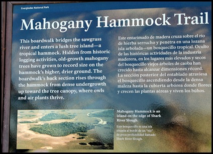 23 - Mahogany Hammock Trail