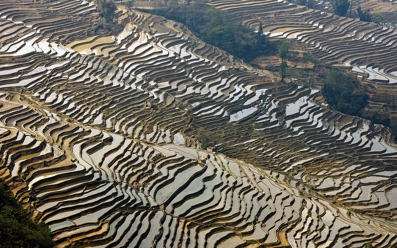 yunnan-rice-terraces2-2