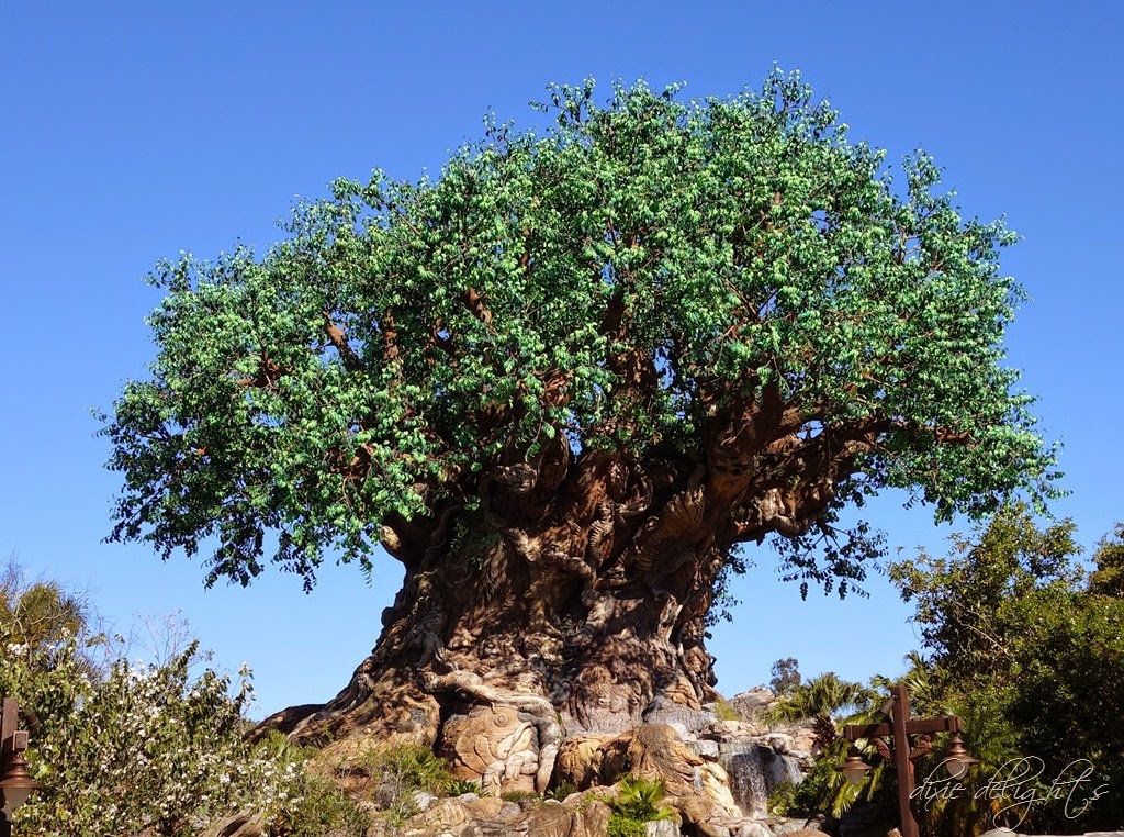 [DSC00479%255B4%255D.jpg]