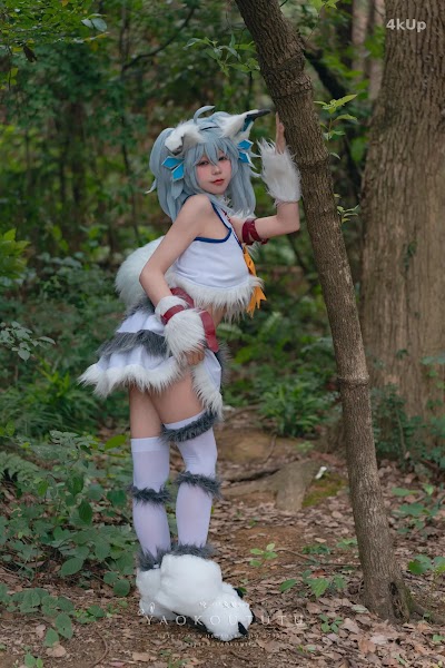 4kUp