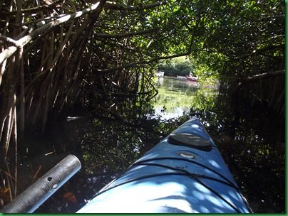 Turner River Paddle 1 (32)