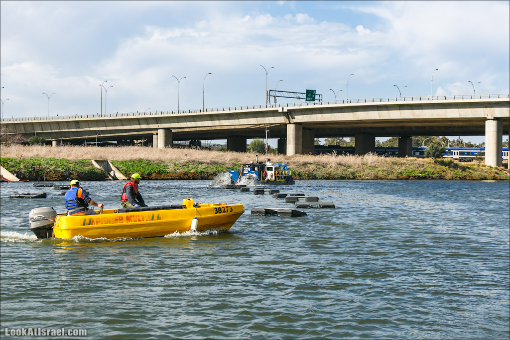 LookAtIsrael.com - Восстановление реки Кишон | Recovering Kishon river | שיחזור נחל קישון