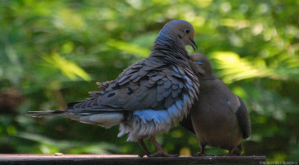 [DSC_9929%255B4%255D.jpg]