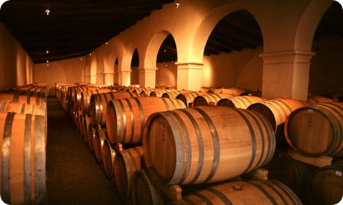 museo del vino cafayate1