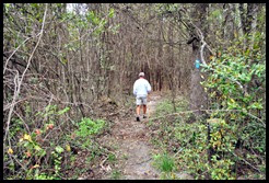00a - Hiking - Followed Blue Trail to the Florida Trail