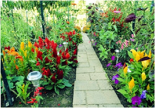 [clip_image010%255B3%255D.jpg]