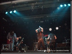 8-7-2011 PORK Zadar Wilde (67)