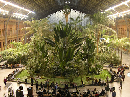 Obiective turistice Madrid: Gara Atocha cu jungla tropicala