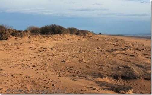 89-damaged-dunes