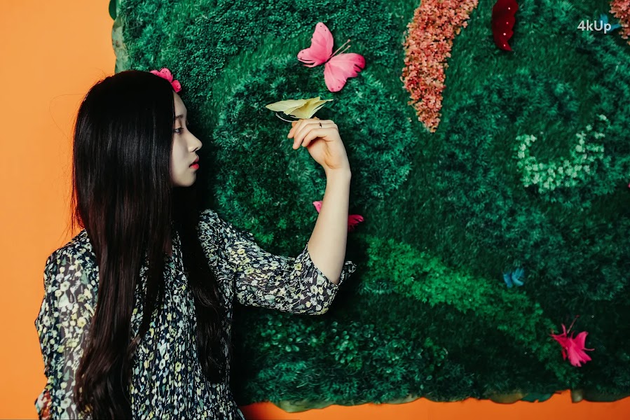 Bambi (밤비) Lacerta Photography