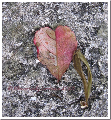 03-18-leaf-heart