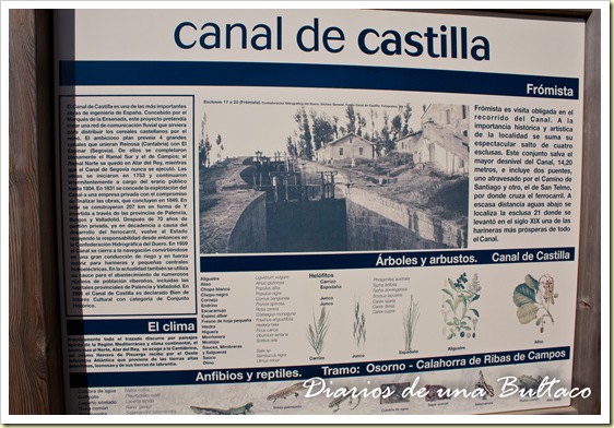 Canal-6