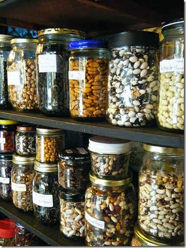 seed-saving_urbanfoodwarrior