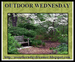 Outdoor Wednesday logo_thumb[1]