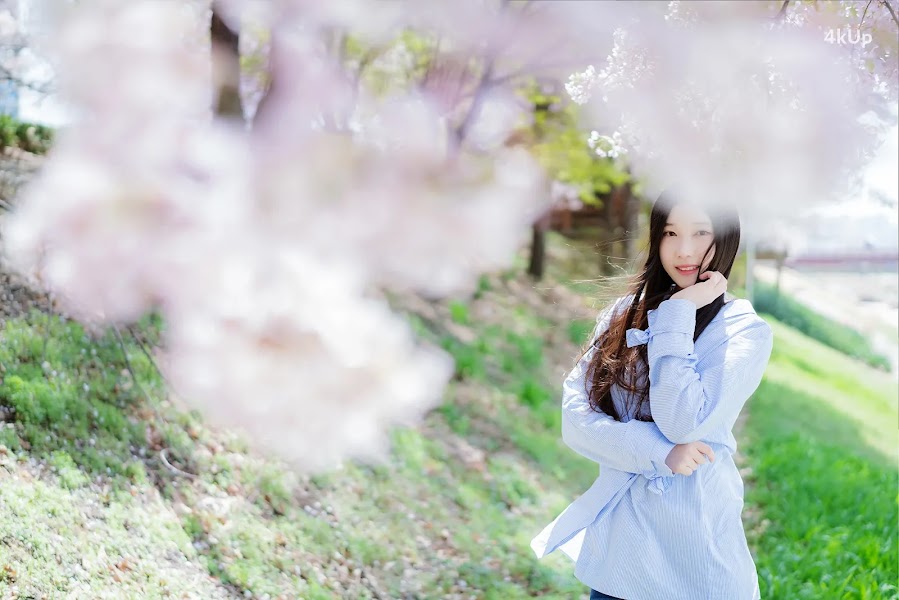 Bambi (밤비) Lacerta Photography