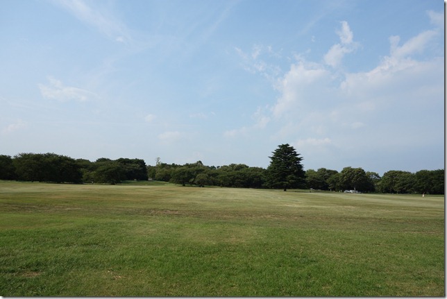 r-DSC01001 r-DSC01001