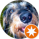 Mark Mason-Elliott profile picture