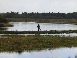 Skjern Au _ Oktober 2012 - 061