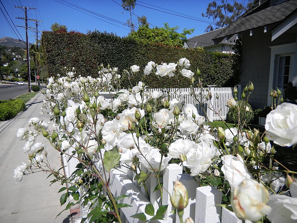 [DSCN3512%2520-%2520Kopie%255B5%255D.jpg]