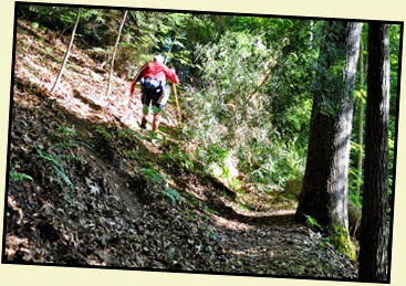 07 - Rock Garden Trail - a bit of scrambling