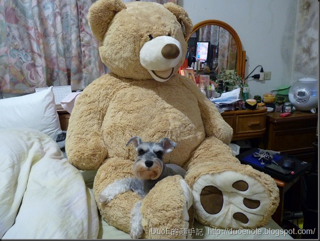 Costco 53” Plush Teddy Bear 尺寸