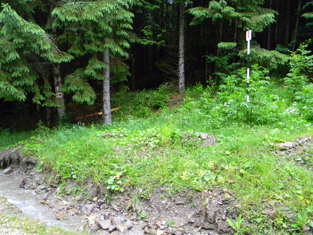 [DSCN69273.jpg]