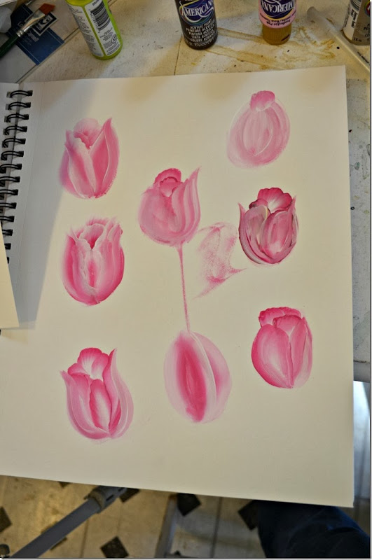 tulip practice