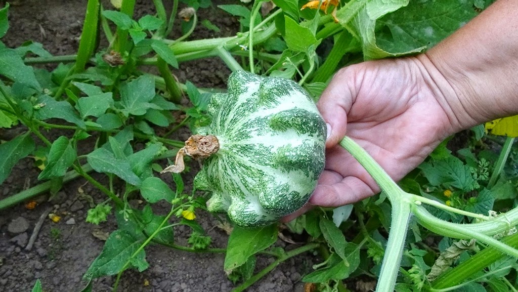 [DSC04760%255B4%255D.jpg]