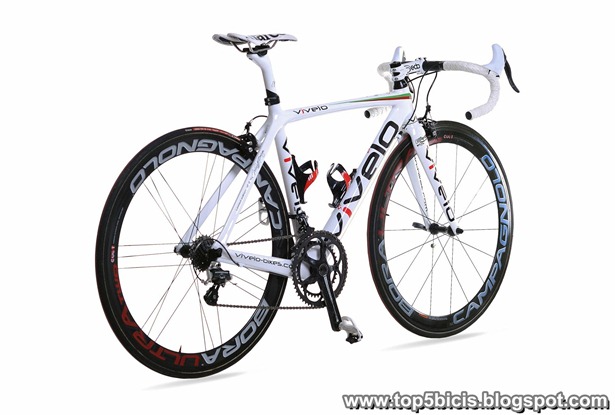 vivelo Erg RS Limited edition (2)