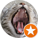 Claude Bykatz profile picture