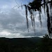 Hike around Finca Neblina del Bosque - La Rampla, Nicaragua esteli-jinotega-miraflor_099.jpg