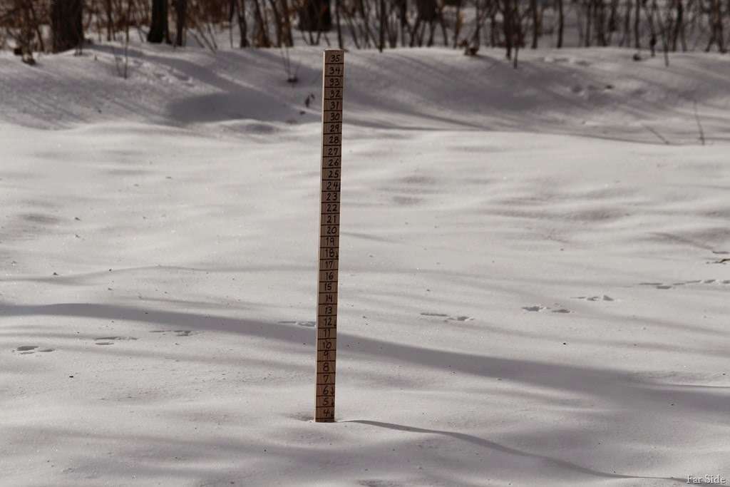 [Four%2520Inches%2520at%2520the%2520snowstick%255B8%255D.jpg]
