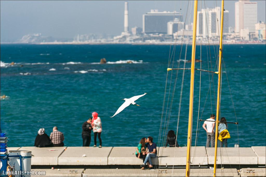 Все интересное с улиц Тель Авива. LookAtIsrael.com - Фото путешествия по Израилю