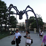 giant spider in roppongi in Tokyo, Japan 