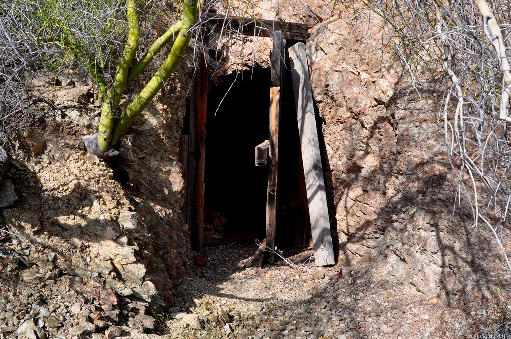 [DSC_0053%255B4%255D.jpg]