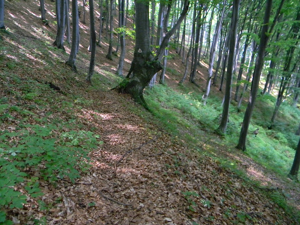 [DSCN16793.jpg]