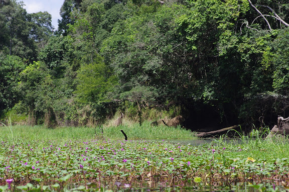 Sur la la Soo, Ebogo (Cameroun), 8 avril 2012. Photo : J.-M. Gayman