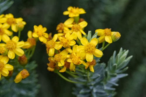 20100301 (10) (Large)